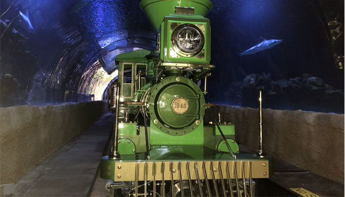 Electric C.P. Huntington Landry's Shark Tunnel